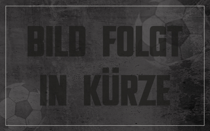 FC Sand fcsand nachwuchs u11 1764066872